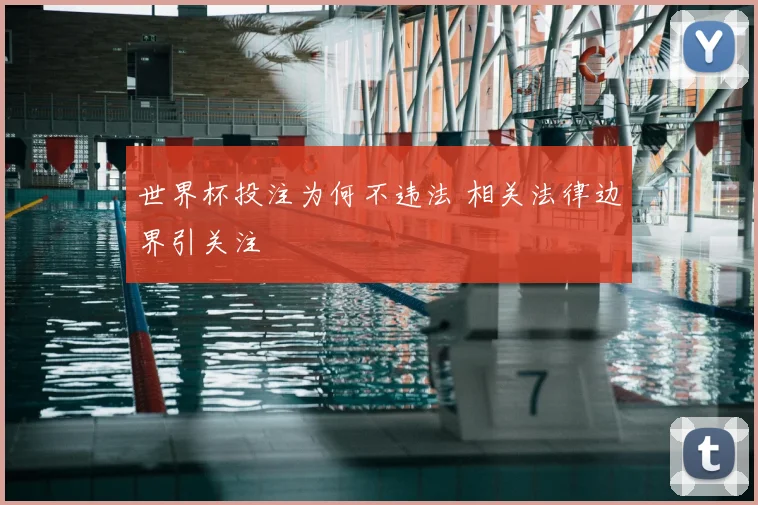 世界杯投注为何不违法 相关法律边界引关注